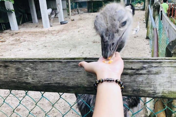 Johor Day Tour: Ostrich Farm, Tanjung Balau Low Tide & Kota Tinggi Fireflies photo 2