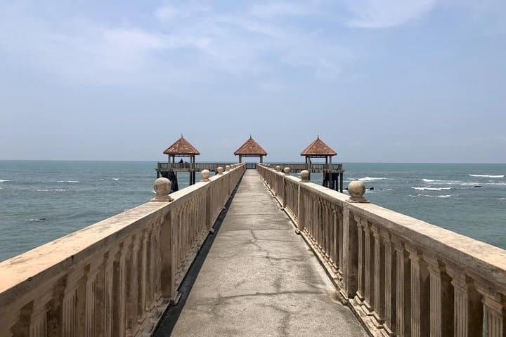 Johor Day Tour: Ostrich Farm, Tanjung Balau Low Tide & Kota Tinggi Fireflies photo 4