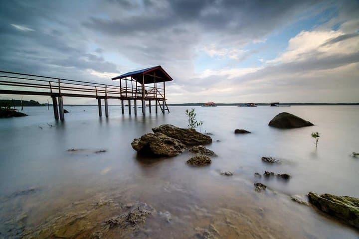 Johor Day Tour: Ostrich Farm, Tanjung Balau Low Tide & Kota Tinggi Fireflies photo 5