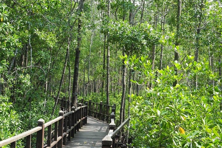 Family Day Trip to Tanjung Piai & Eco Farm from Singapore — Mangroves, Mini Zoo, Kids Go-Kart photo 4