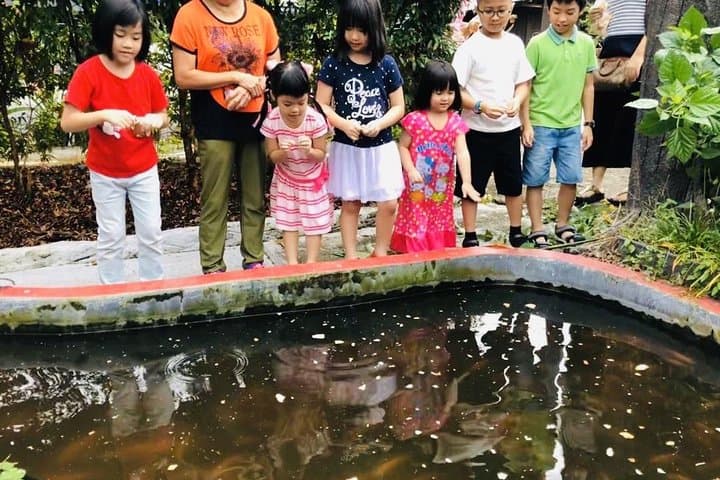 Family Day Tour from Johor to Singapore: Laser Tag, Eco Farm & Kids Go-Kart photo 4
