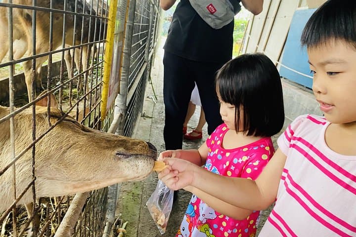 Johor Family Day Trip from Singapore: Laser Tag, Eco Farm & Go-Kart Adventure