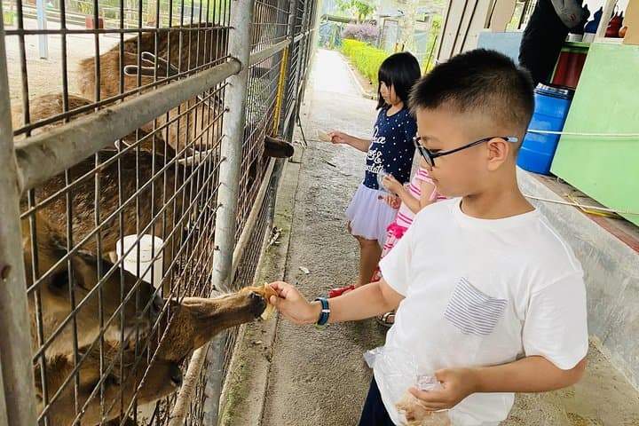 Family Day Tour from Johor to Singapore: Laser Tag, Eco Farm & Kids Go-Kart photo 5
