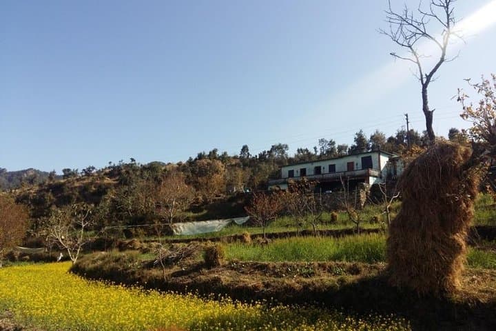 Ginger Valley Village Trek — Rishikesh Day Hike Through Himalayan Farmlands