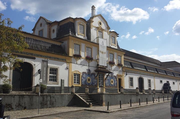 Magic Arrábida Tour — Setúbal & Sesimbra Day Trip with Wine Tasting photo 4
