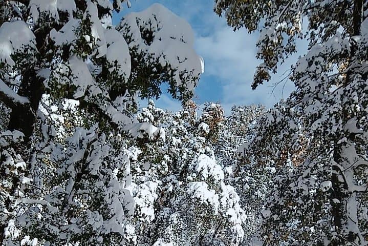 Two-Day Chakrata Trek: Budher Caves, Deoban Top & Tigerfall Falls photo 2