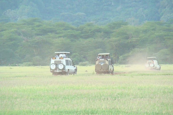 Lake Manyara Day Safari from Arusha: Rift Escarpment Game Drive & Tree-Climbing Lions photo 3