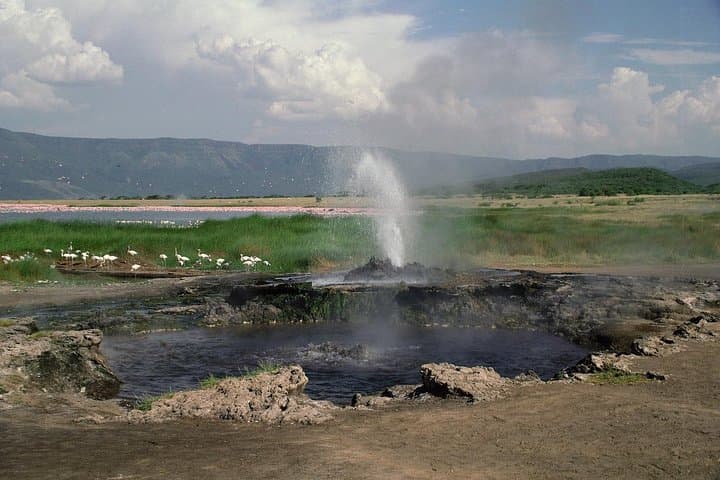 Lake Manyara Day Safari from Arusha: Rift Escarpment Game Drive & Tree-Climbing Lions photo 4