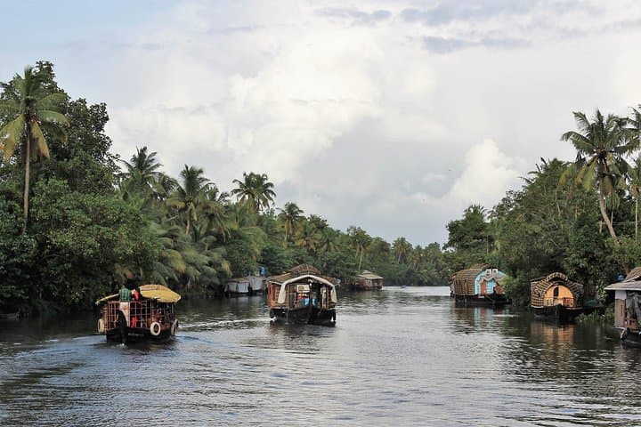 Amazing Kerala 7-Day Tour: Munnar, Periyar & Backwaters from Kochi