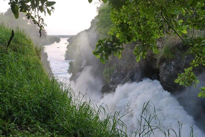 Murchison Falls: 3-Day Safari, Nile Cruise & Ziwa Rhino Trek photo 1