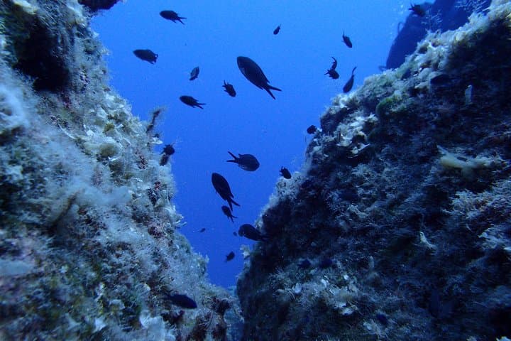 Try Scuba Diving in Lanzarote: Introductory Shore Dive in Puerto del Carmen photo 3