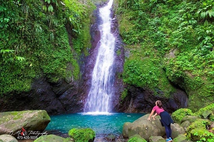 Hike to Fontainebleau and Concord Falls — Grenada Waterfall Adventure