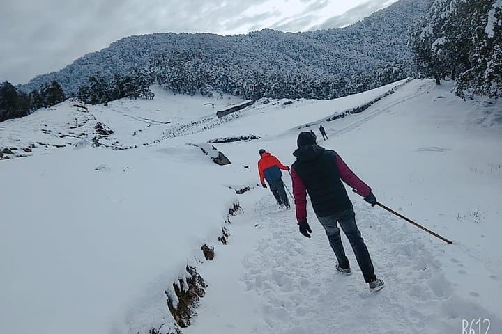 Nagtibba Trek Weekend Guide: Sunrise Summit from Dehradun