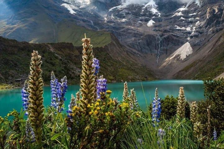Humantay Lagoon: High-Altitude Day Hike from Cusco to the Turquoise Tarn photo 2