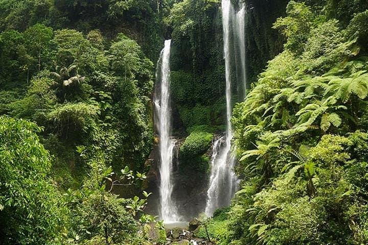 Sekumpul Waterfall & Bedugul Highlights Day Tour photo 3