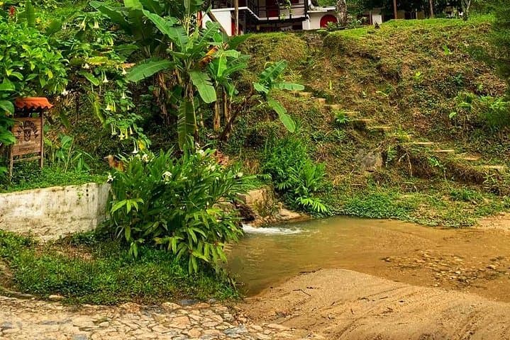 Minca Waterfalls, Coffee & Cocoa Day Trip from Santa Marta photo 3