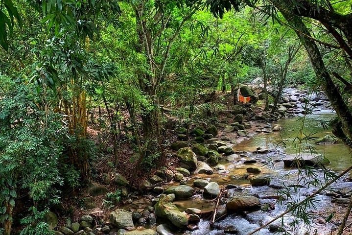 Minca Waterfalls, Coffee & Cocoa Day Trip from Santa Marta photo 4