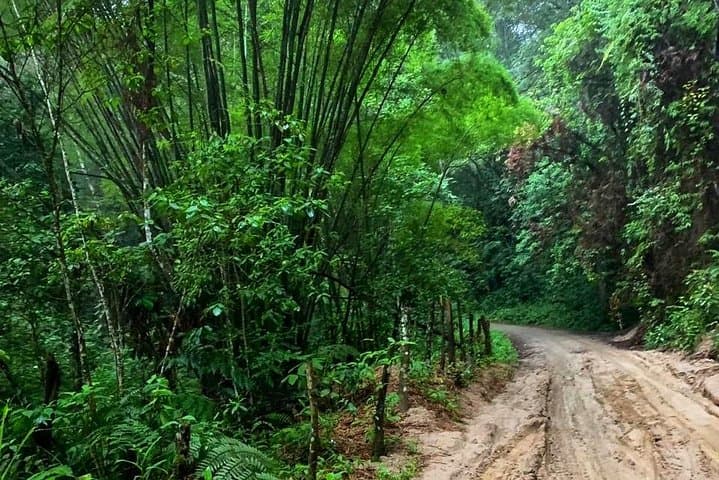 Minca Waterfalls, Coffee & Cocoa Day Trip from Santa Marta