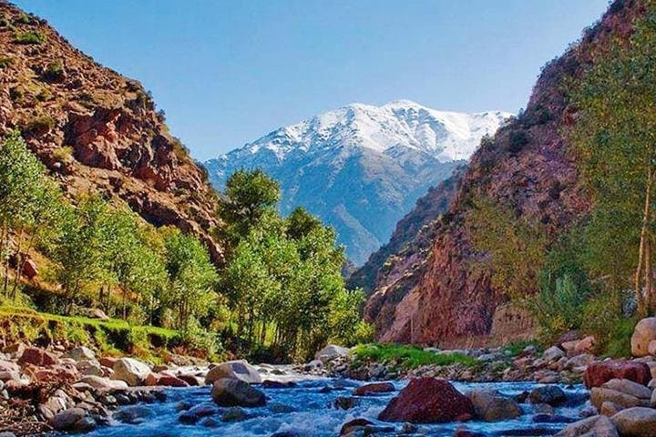 Ourika Valley & Setti Fatma Waterfalls: Private Day Trip from Marrakech photo 2
