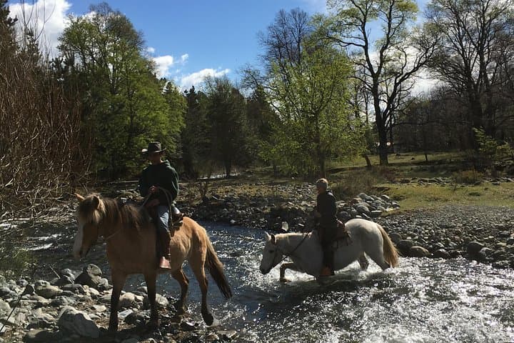 Pucon Horseback Trailride: Volcano Views Along the Liucura River photo 3