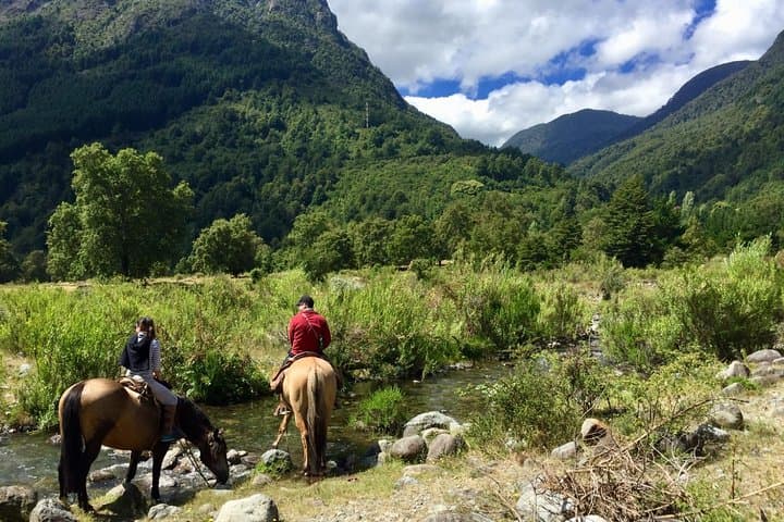 Pucon Horseback Trailride: Volcano Views Along the Liucura River photo 4