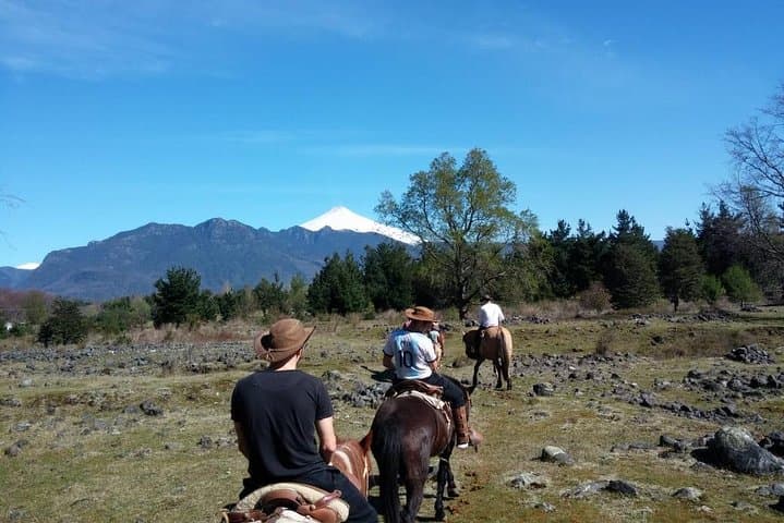 Pucon Horseback Trailride: Volcano Views Along the Liucura River photo 5