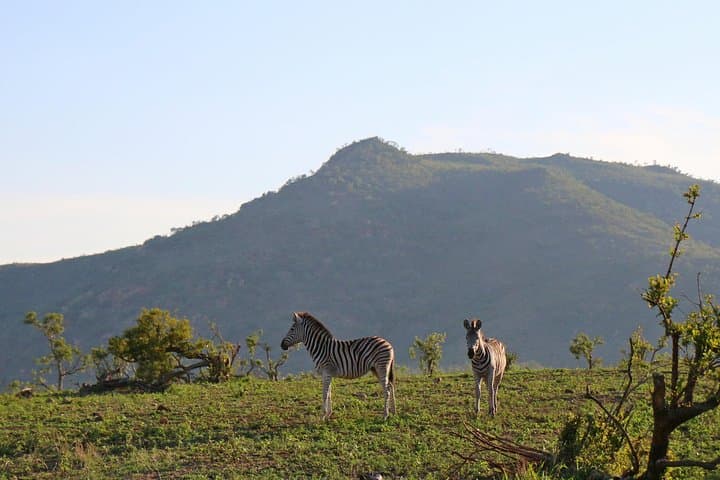 5-Day Kruger Park Budget Safari: Big Five, Panorama Route & Hazyview Base photo 4