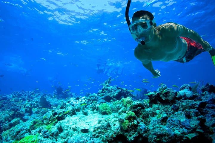 Snorkel Cancun’s Underwater Museum and Turtle Coves — 3-Stop Reef Tour photo 3