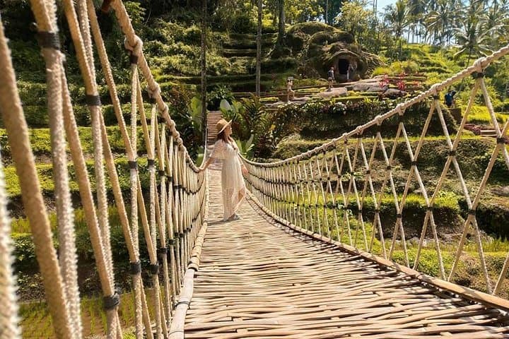 Ubud Day Tour: Monkey Forest, Jungle Swing, Rice Terraces & Tirta Empul photo 5