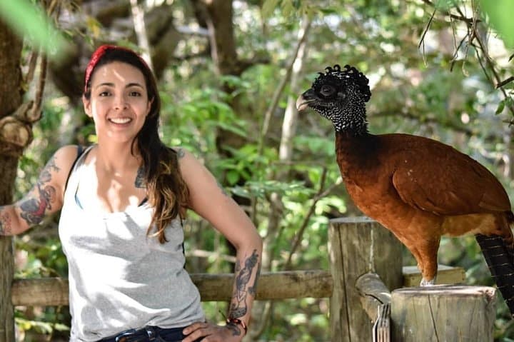 Private Aviary Tour in Cartagena: Up Close with Colombia’s Bird Diversity photo 1