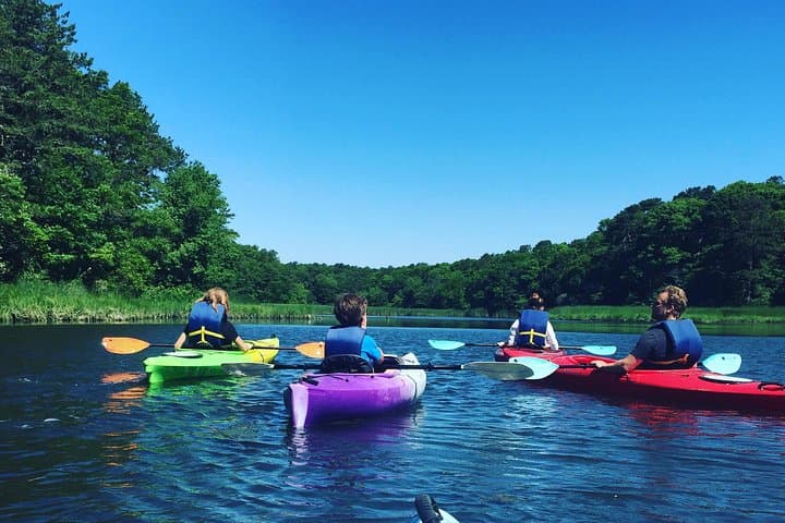 Kayak the Creek Nature Tour: Scorton Creek Wildlife Paddle on Cape Cod photo 2