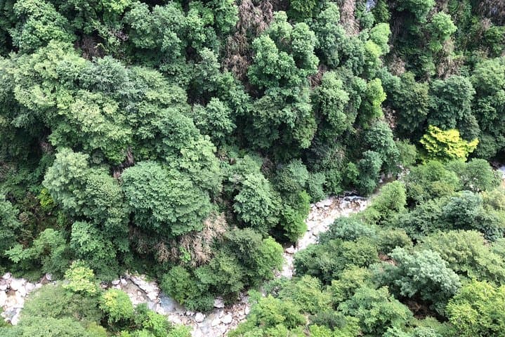 Martvili and Okatse Canyon Full-Day Tour from Kutaisi photo 2