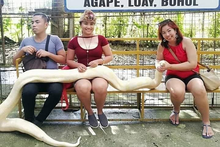 Bohol Chocolate Hills & Tarsier Private Day Tour with Loboc River Cruise photo 3
