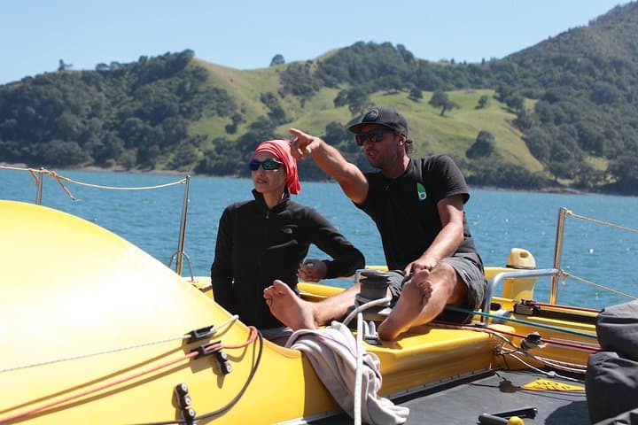 Morning Glory Coromandel Sail to Cathedral Cove — 3.5-Hour Catamaran Cruise photo 2