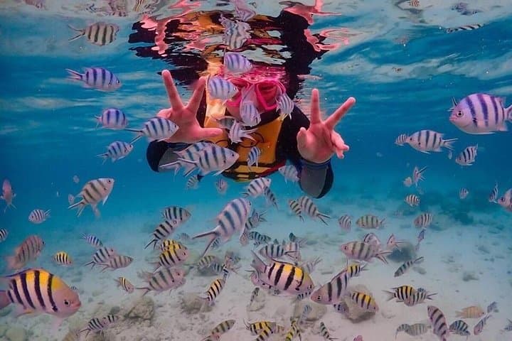 Nemo Island Snorkeling Adventure from Pattaya with Drone Photos & Lunch photo 6