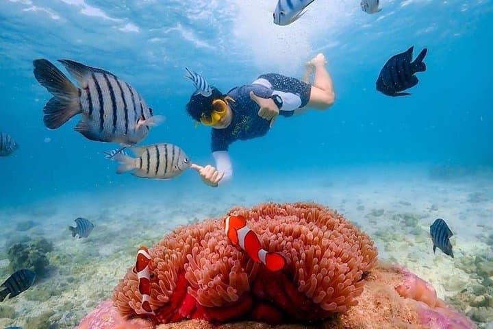 Nemo Island Snorkeling Adventure from Pattaya with Drone Photos & Lunch photo 5