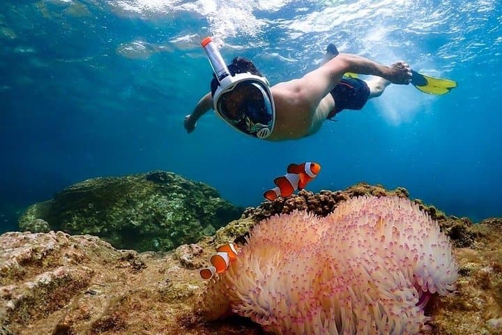 Nemo Island Snorkeling Adventure from Pattaya with Drone Photos & Lunch