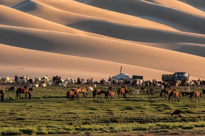 Gobi to Steppe: 14-Day Private Mongolia Expedition with Horses and Gers