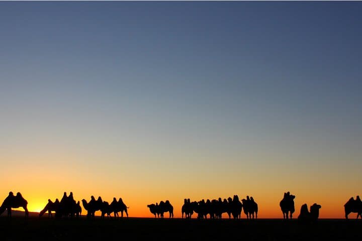Gobi to Steppe: 14-Day Private Mongolia Expedition with Horses and Gers photo 2