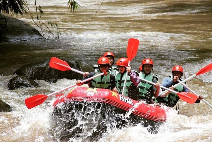 Ayung River Rafting in Ubud: Half-Day Jungle Whitewater Adventure photo 2