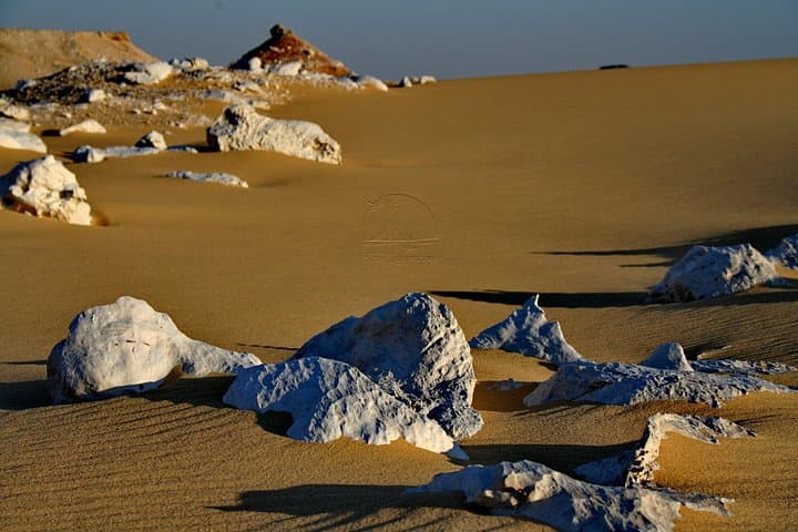 Day Trip to Jebel Qatrani Petrified Forest & Qasr el-Sagha from Cairo photo 2