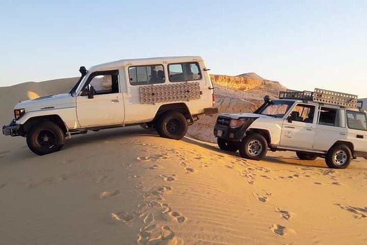 Day Trip to Jebel Qatrani Petrified Forest & Qasr el-Sagha from Cairo photo 1