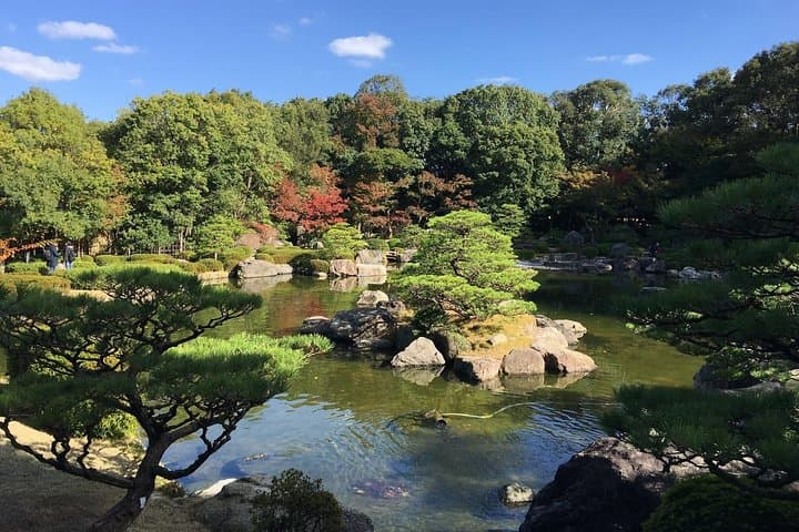 Fukuoka City Walking & Public Transport Sightseeing Tour — Tenjin to Momochi