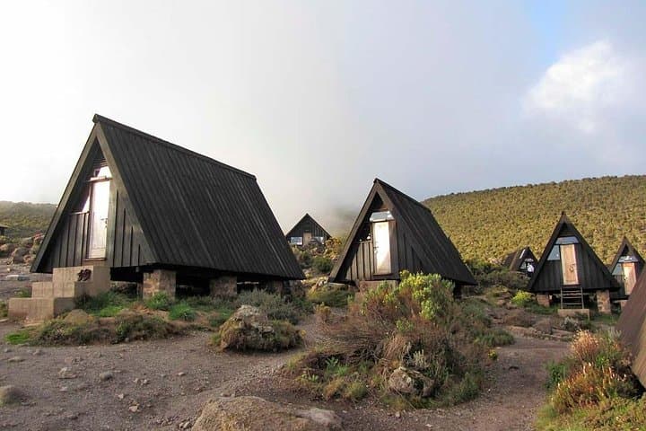 6-Day Marangu Route Trek to Uhuru Peak — Guided Kilimanjaro Summit photo 3
