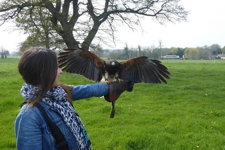 Bath City Tour and Fly-a-Hawk Experience — Walking Tour & Falconry Near Bath photo 5