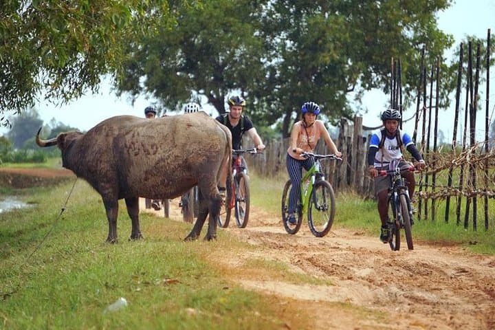 Siem Reap Countryside Bicycle Tour — Markets, Paddy Fields & Village Crafts photo 2