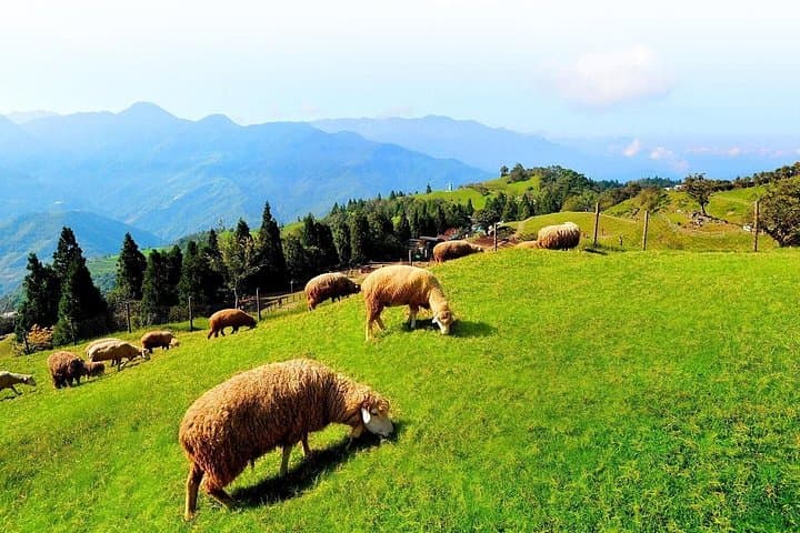 Taiwan Multi-Day Classic Tour: 8-Day Taipei-to-Kenting Scenic Circuit photo 2