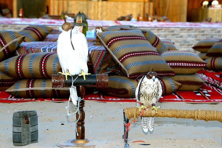 Abu Dhabi Afternoon Desert Safari & BBQ Dinner — Dune Bashing, Camel Rides and Sunset Camp photo 2