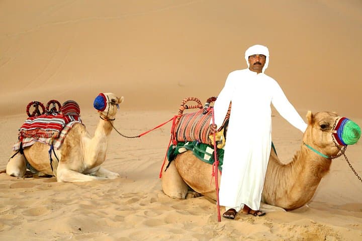 Abu Dhabi Afternoon Desert Safari & BBQ Dinner — Dune Bashing, Camel Rides and Sunset Camp photo 5