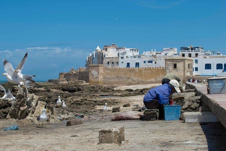 Essaouira Day Trip from Marrakech: Beaches, Medina & Argan Co‑ops